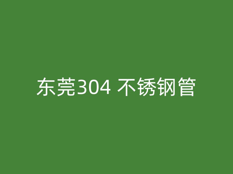 东莞304 不锈钢管