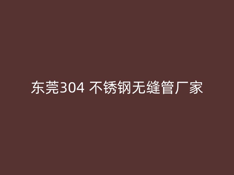 东莞304 不锈钢无缝管厂家