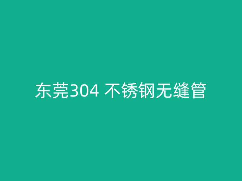 东莞304 不锈钢无缝管