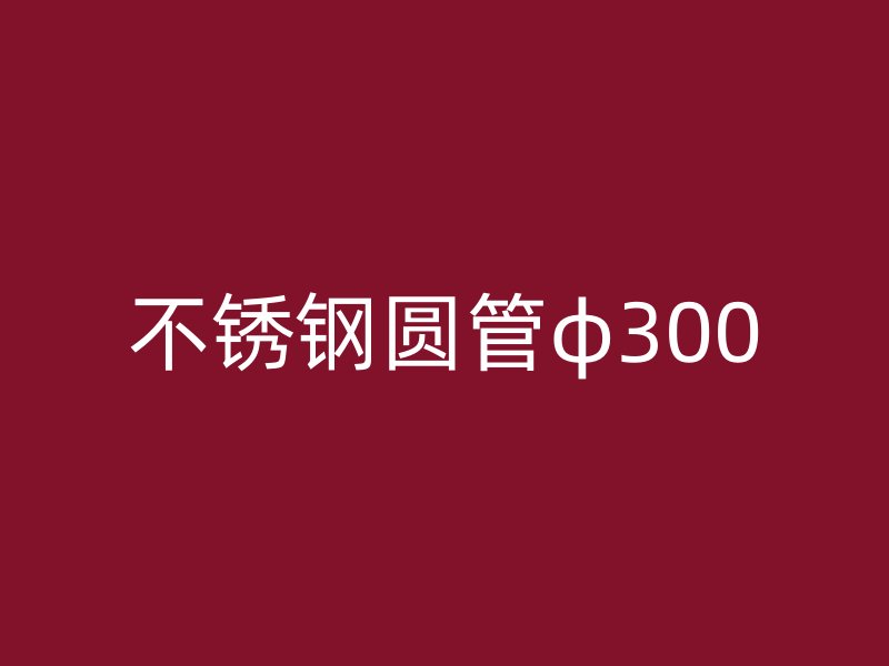 不锈钢圆管φ300