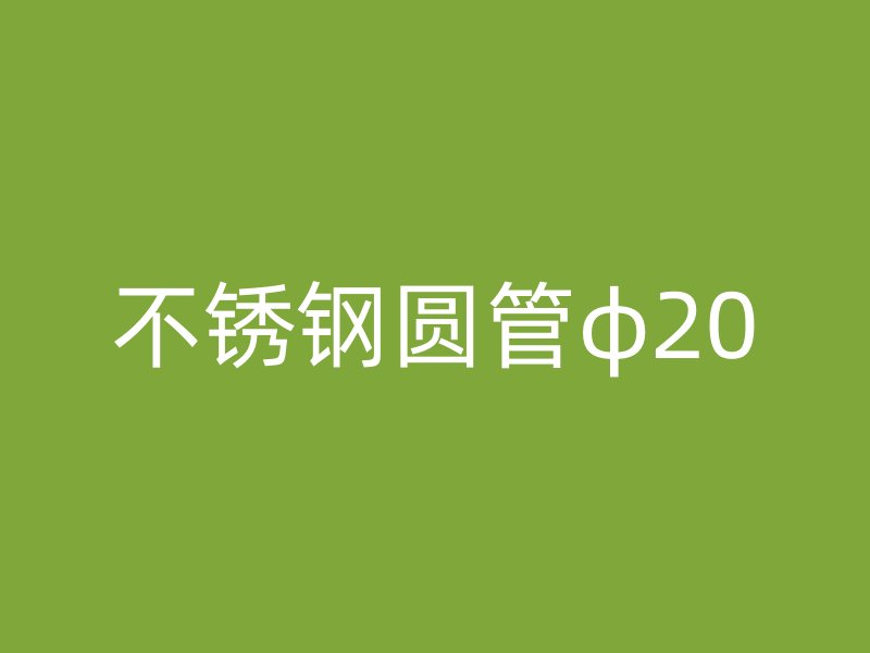 不锈钢圆管φ20