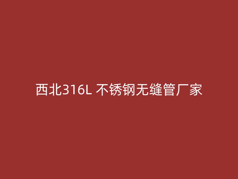 西北316L 不锈钢无缝管厂家
