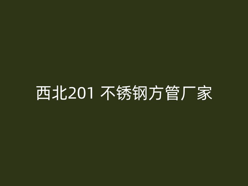 西北201 不锈钢方管厂家