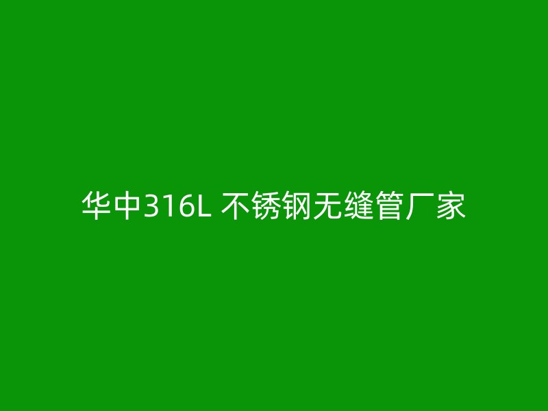 华中316L 不锈钢无缝管厂家