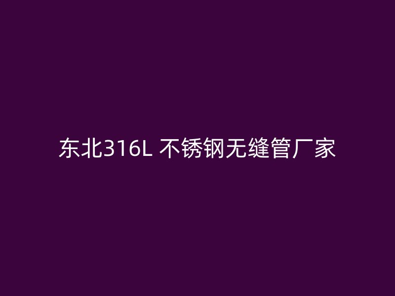 东北316L 不锈钢无缝管厂家