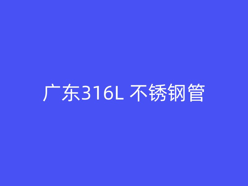 广东316L 不锈钢管