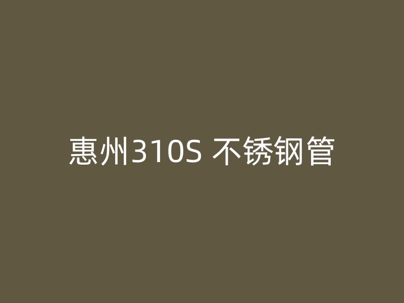 惠州310S 不锈钢管