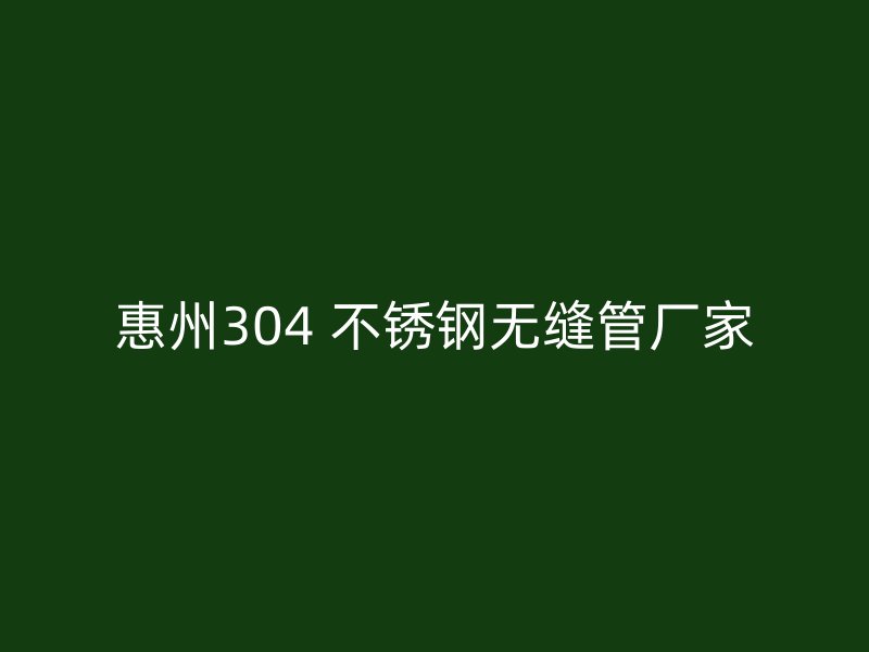 惠州304 不锈钢无缝管厂家