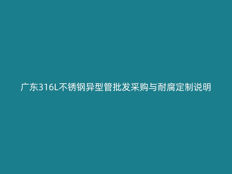 广东316L不锈钢异型管批发采购与耐腐定制说明