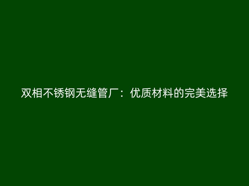双相不锈钢无缝管厂：优质材料的完美选择