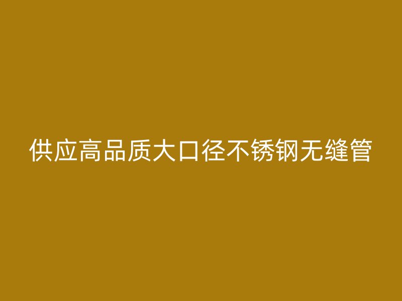 供应高品质大口径不锈钢无缝管
