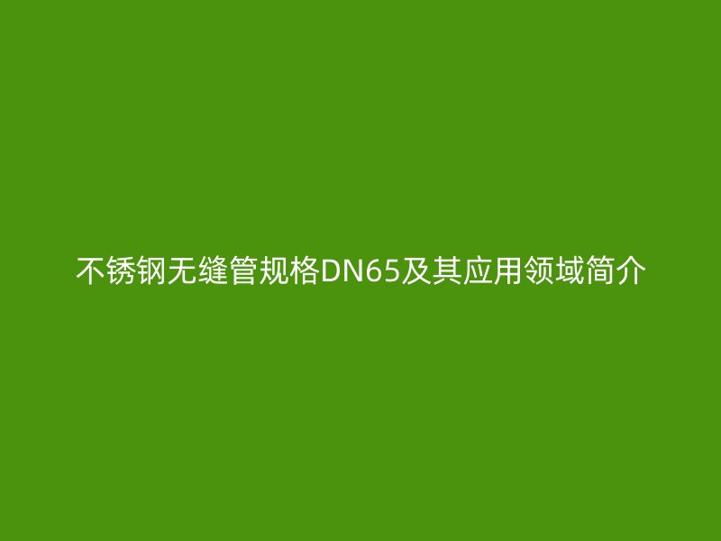 不锈钢无缝管规格DN65及其应用领域简介