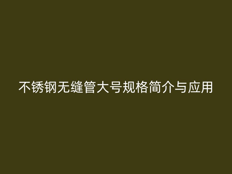不锈钢无缝管大号规格简介与应用