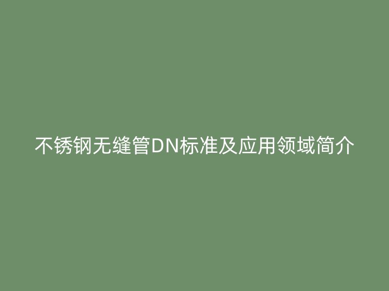 不锈钢无缝管DN标准及应用领域简介