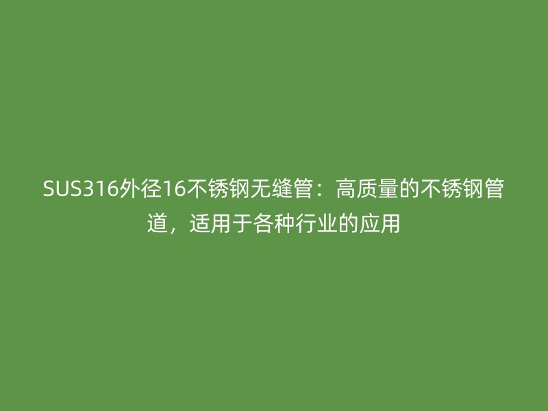 SUS316外径16不锈钢无缝管：高质量的不锈钢管道，适用于各种行业的应用