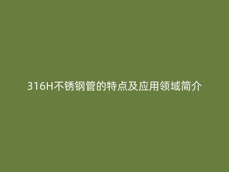 316H不锈钢管的特点及应用领域简介