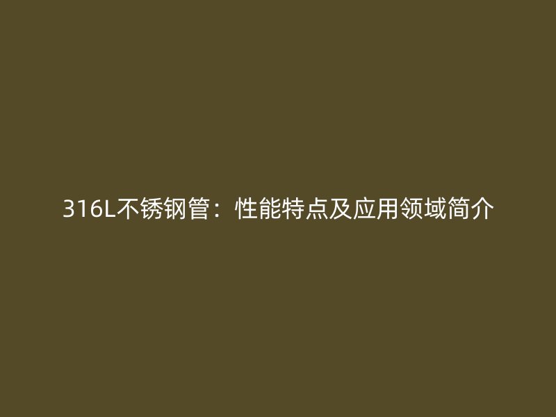 316L不锈钢管：性能特点及应用领域简介