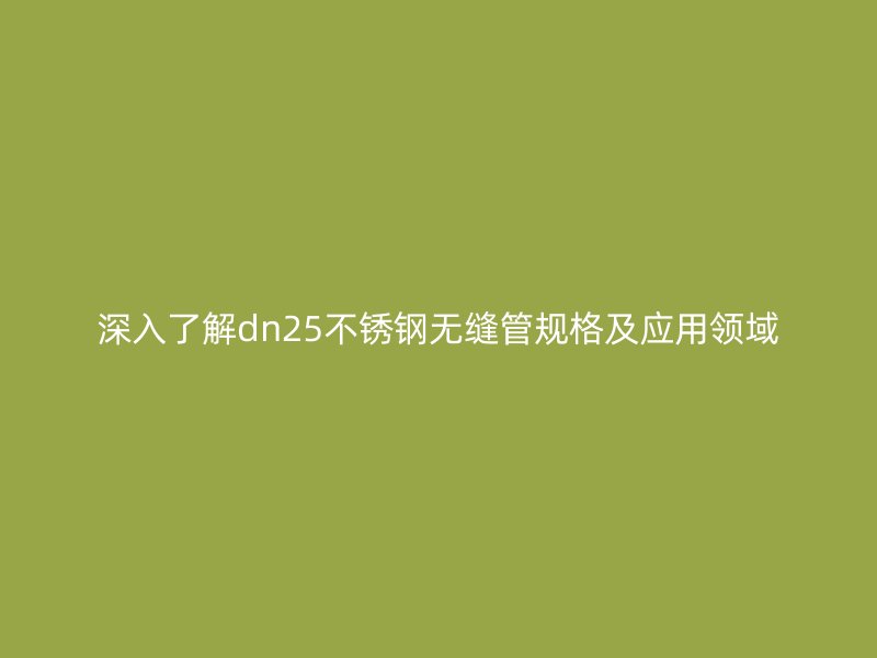 深入了解dn25不锈钢无缝管规格及应用领域