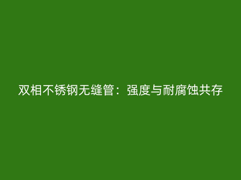 双相不锈钢无缝管：强度与耐腐蚀共存
