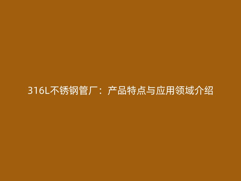316L不锈钢管厂：产品特点与应用领域介绍