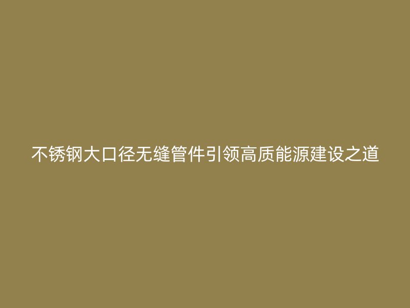 不锈钢大口径无缝管件引领高质能源建设之道