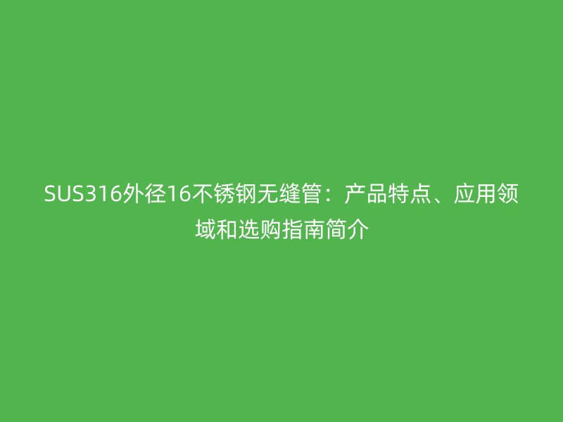 SUS316外径16不锈钢无缝管：产品特点、应用领域和选购指南简介