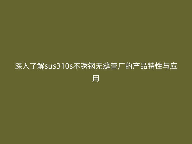 深入了解sus310s不锈钢无缝管厂的产品特性与应用