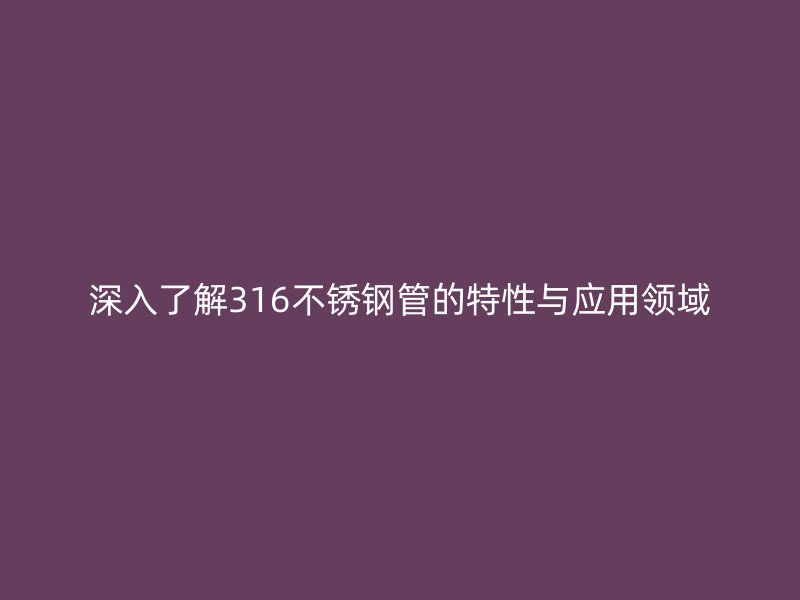 深入了解316不锈钢管的特性与应用领域