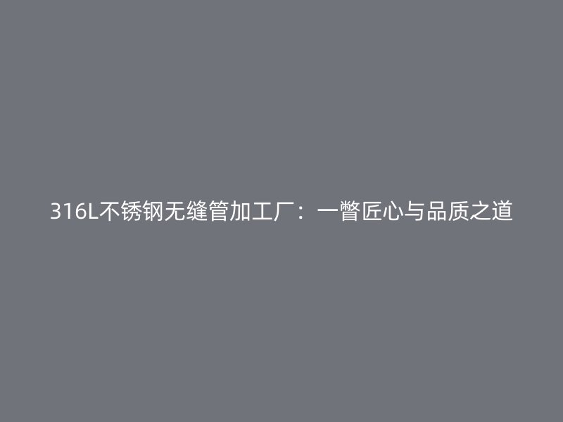 316L不锈钢无缝管加工厂：一瞥匠心与品质之道