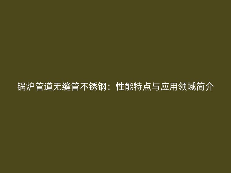 锅炉管道无缝管不锈钢：性能特点与应用领域简介