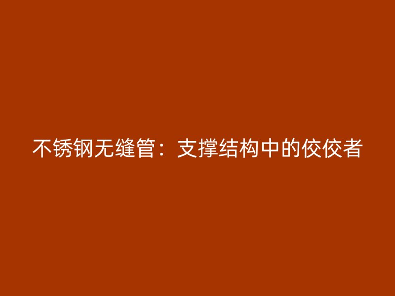 不锈钢无缝管：支撑结构中的佼佼者