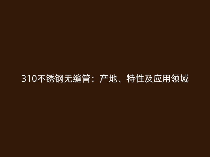 310不锈钢无缝管：产地、特性及应用领域