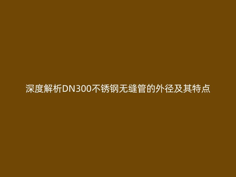 深度解析DN300不锈钢无缝管的外径及其特点