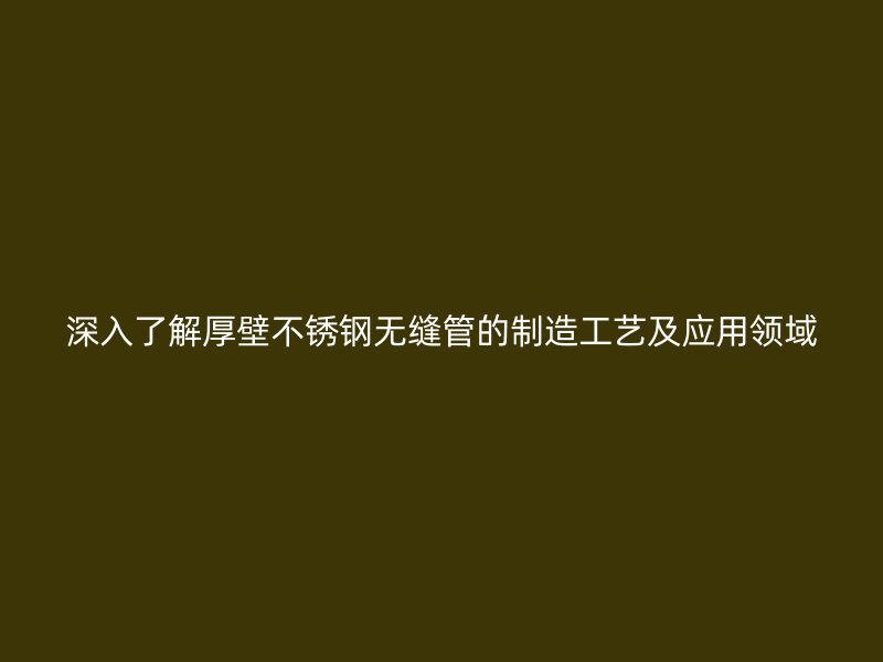 深入了解厚壁不锈钢无缝管的制造工艺及应用领域
