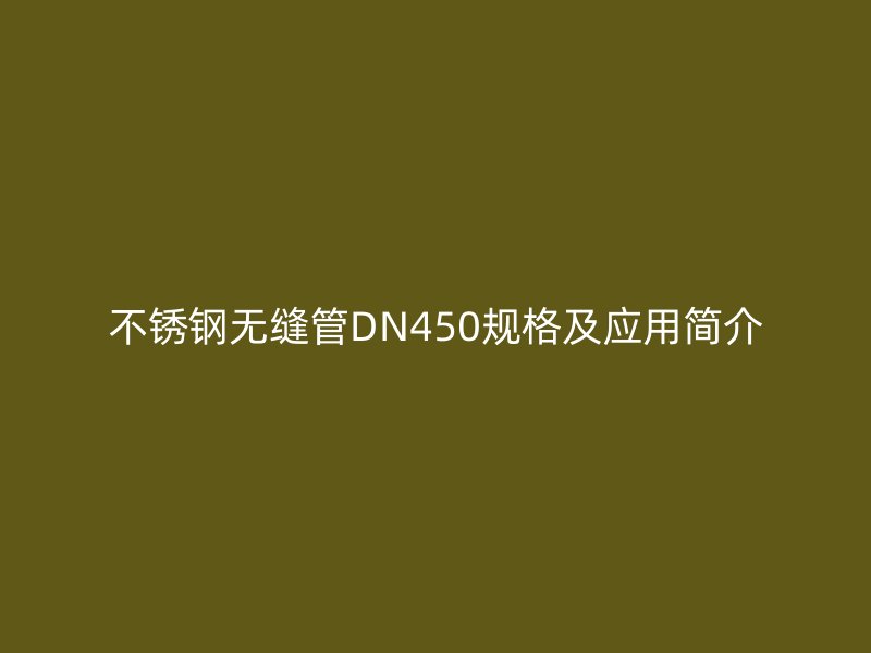 不锈钢无缝管DN450规格及应用简介